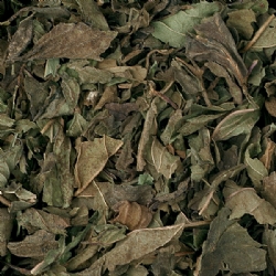 Mint balsamic herbal tea loose tea
