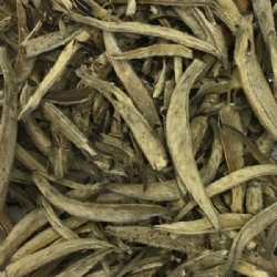 Chinese white tea loose leaf tea Le Grandi Origini collection Yin Zhen in 20 grams bag